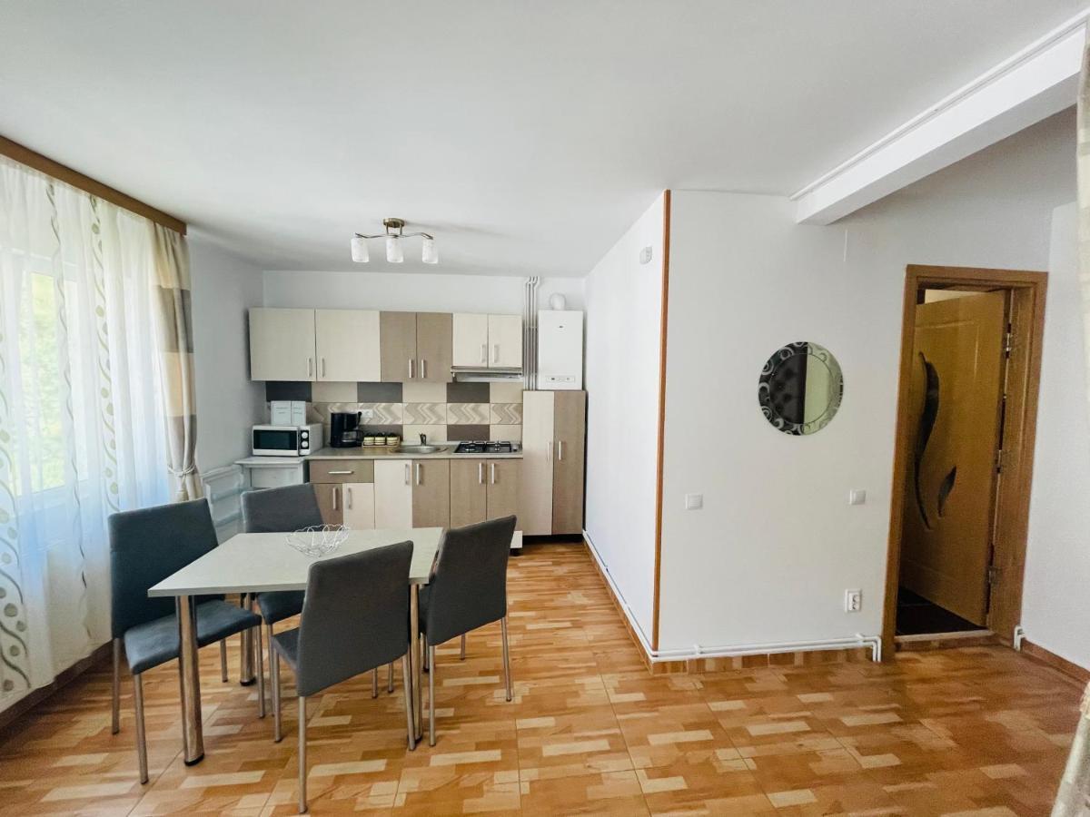 Appartement Garsoniera Family à Buşteni Extérieur photo