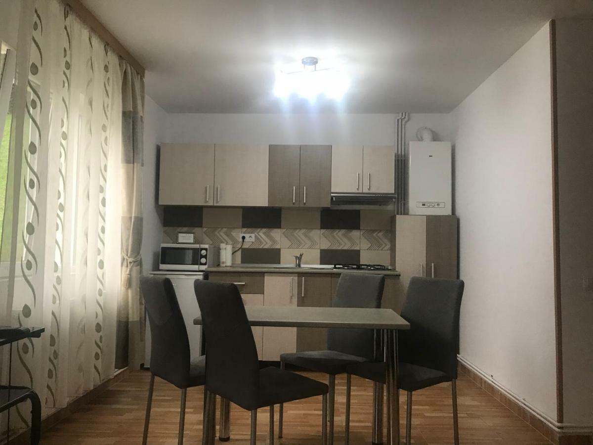 Appartement Garsoniera Family à Buşteni Extérieur photo
