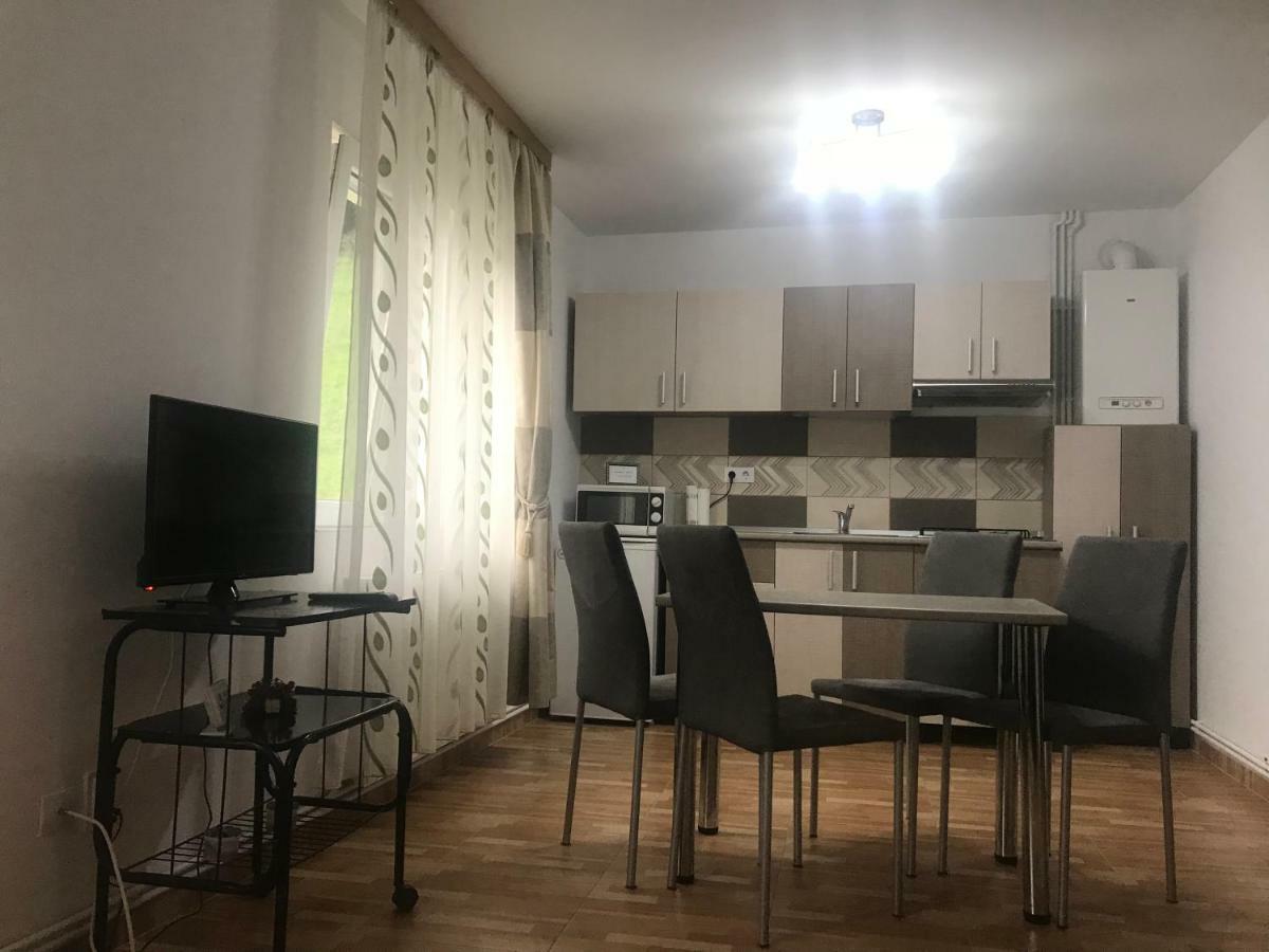 Appartement Garsoniera Family à Buşteni Extérieur photo